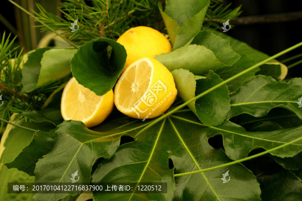 檸檬和綠葉