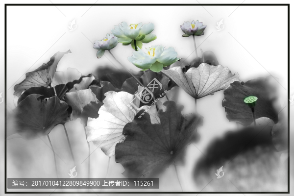 荷花水墨