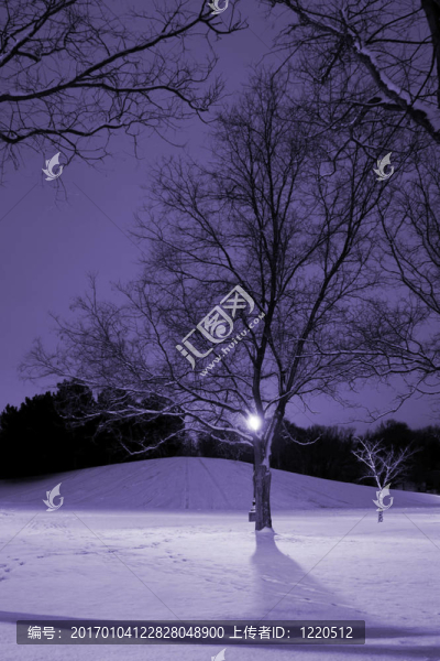 燈柱；Snowy,Hill；樹(shù)木和它是冬天的時(shí)候