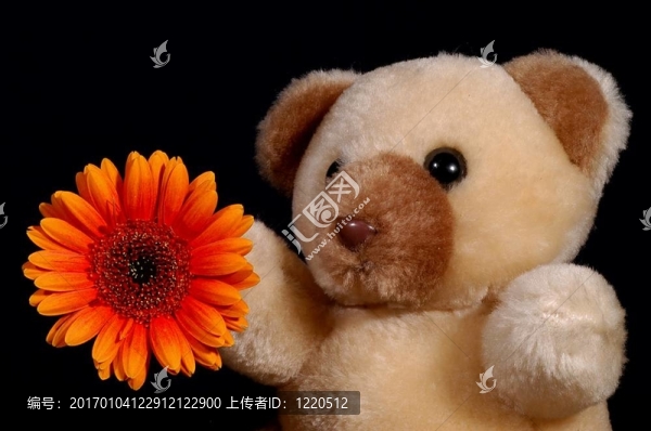泰迪的愛