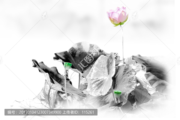 水墨荷花一點(diǎn)紅