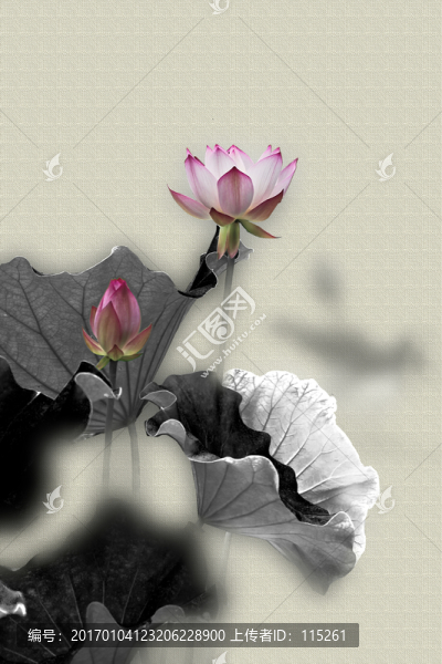 中國風(fēng)荷花