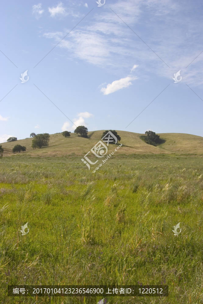 草地2-匯圖網(wǎng) www.fosd68.com 草地2