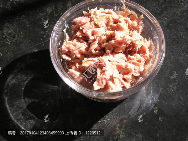 優(yōu)雅的金槍魚
