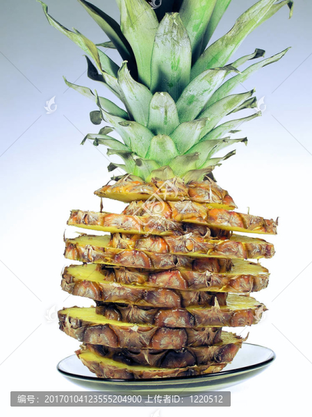 菠蘿