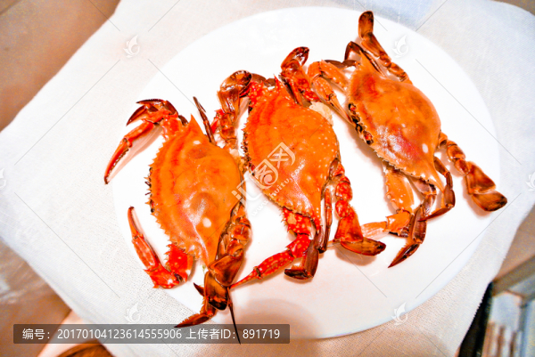 梭子蟹素材,海鮮素材,螃蟹