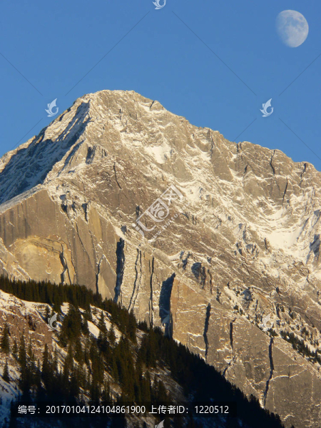 山月出