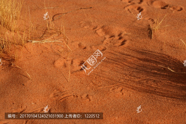 軌道在沙