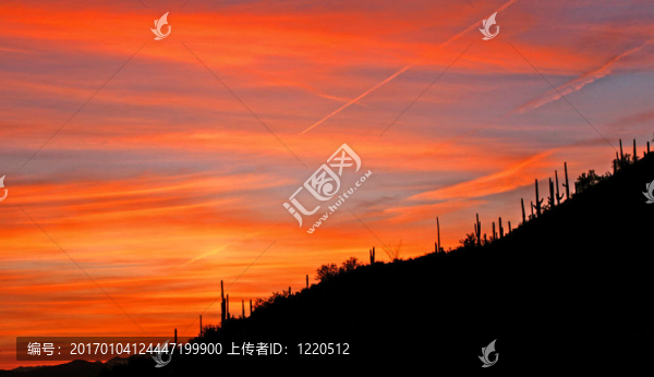 橙色和藍(lán)色的仙人掌映襯在山脊