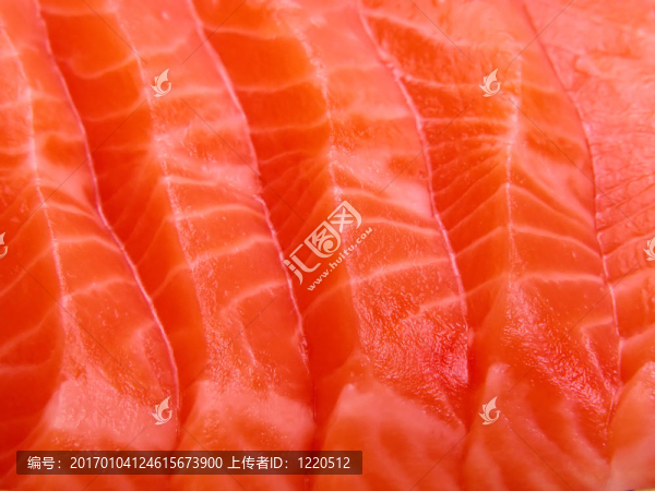 三文魚肉特寫-匯圖網(wǎng) www.fosd68.com 三文魚肉特寫