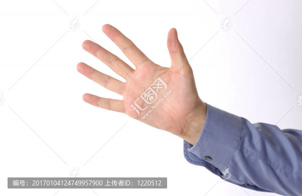 手