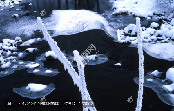冬天