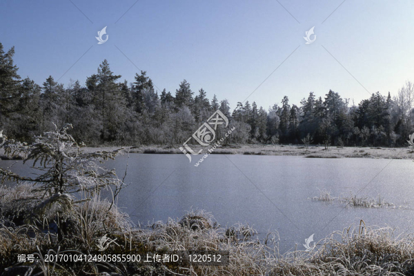 krokskogen