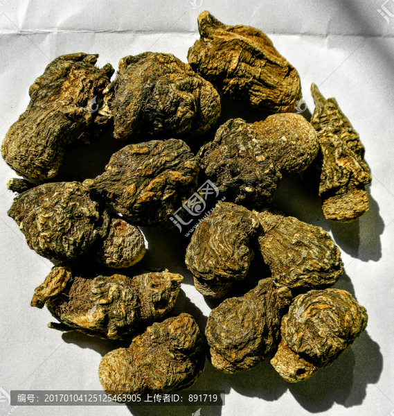 黑瑪卡,紫瑪卡,黃瑪卡素材