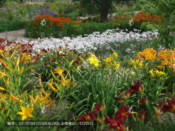 花園
