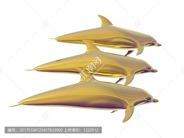 金海豚