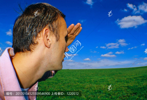 眺望田野的草地。