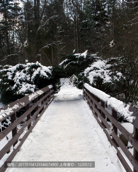 白雪覆蓋的橋