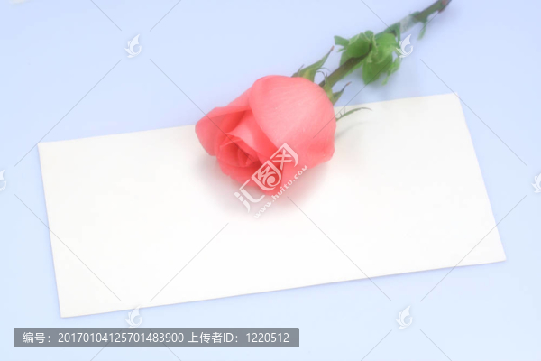 玫瑰在紙上