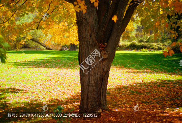 秋天的公園