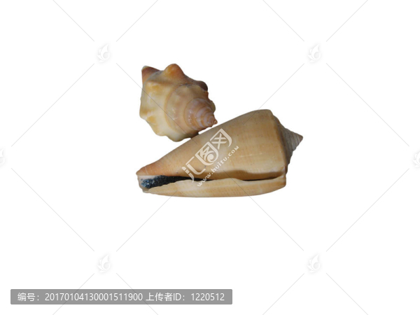兩殼