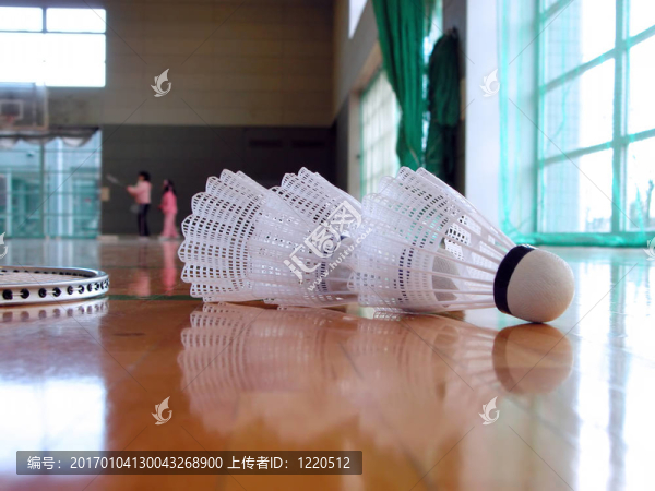 羽毛球室內(nèi)