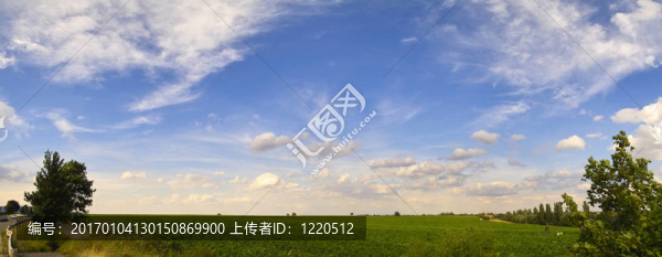 葡萄園的全景圖片