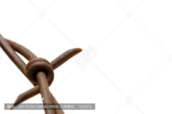 鐵絲網(wǎng)宏觀過(guò)白