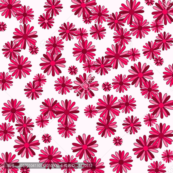 雛菊