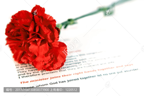 婚禮儀式-匯圖網(wǎng) www.fosd68.com 婚禮儀式