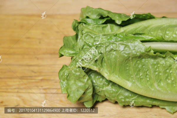 長葉萵苣