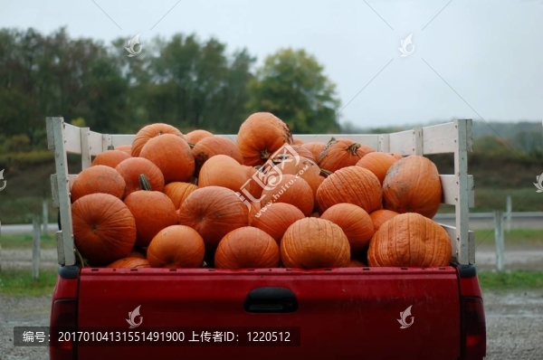 南瓜車