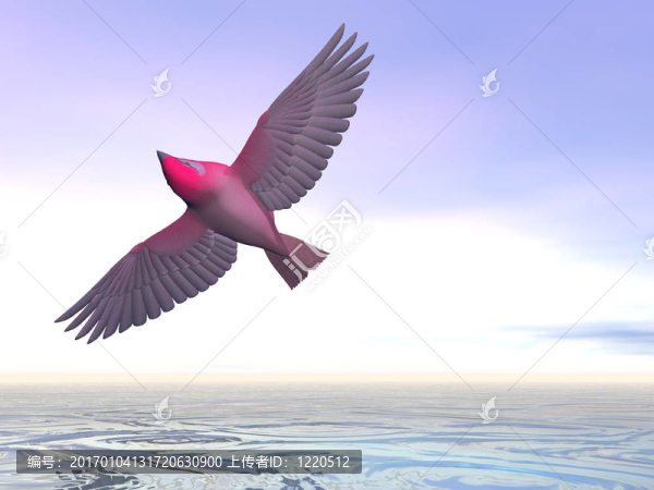 紅色的鳥