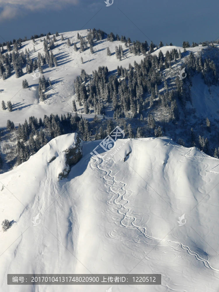 雪中的痕跡