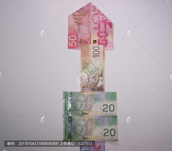 財(cái)政資金的箭