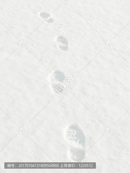在Snow的足跡