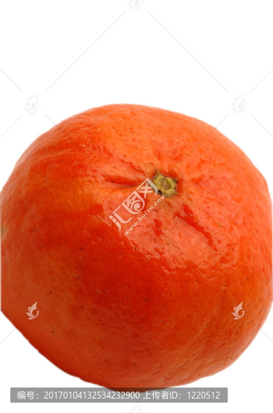 Tangerine夜店的白色背景