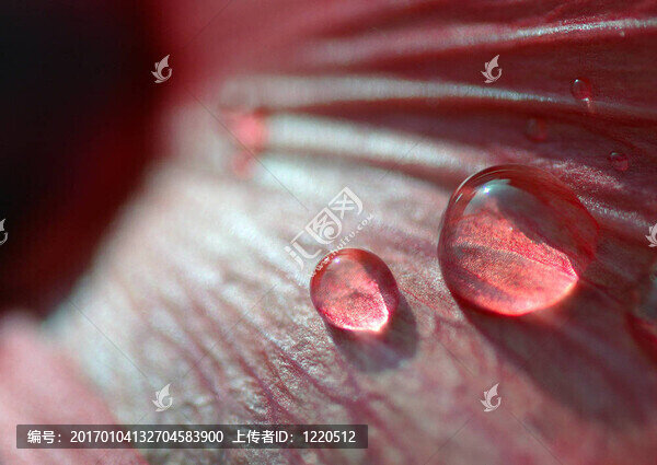 美麗的水滴