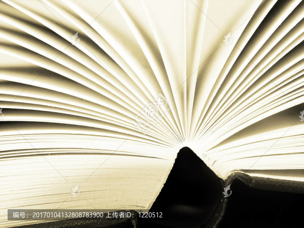 一本書的書頁