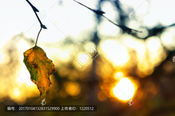 這是一個(gè)來(lái)自冬季太陽(yáng)的小熱量