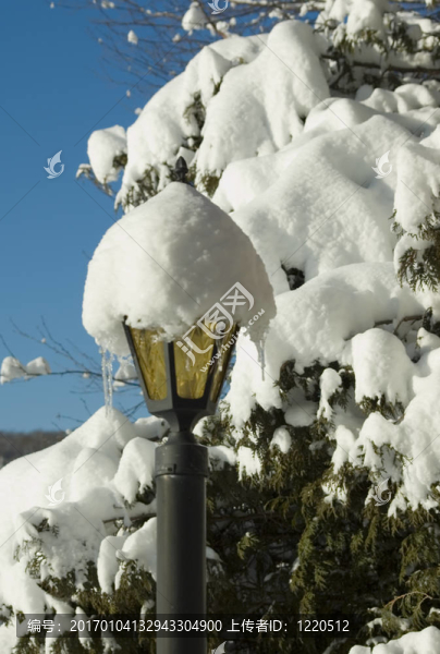 雪下的路燈柱上”