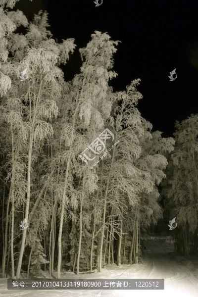 冰凍:滑雪道-匯圖網(wǎng) www.fosd68.com 冰凍:滑雪道