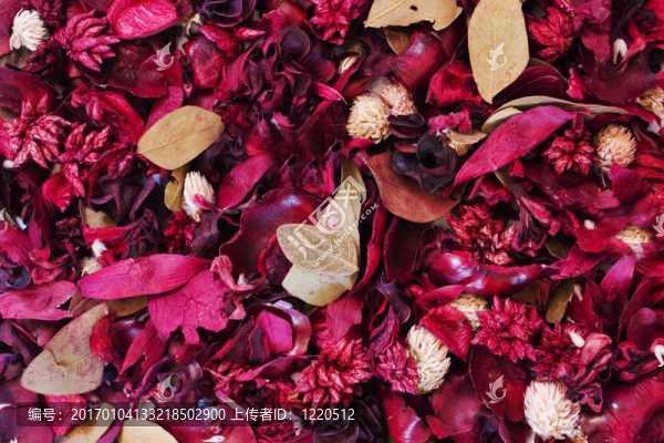 背景：Dried,Flowers