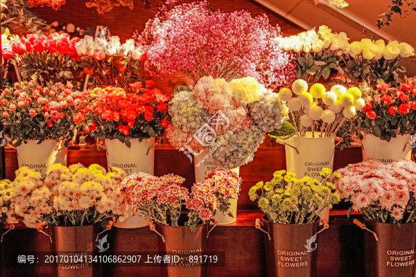 鮮花店,園藝店