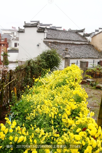 徽州農(nóng)家田園