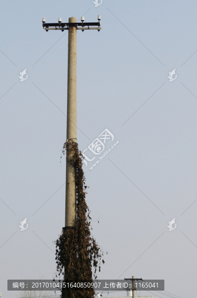 廢棄的電桿