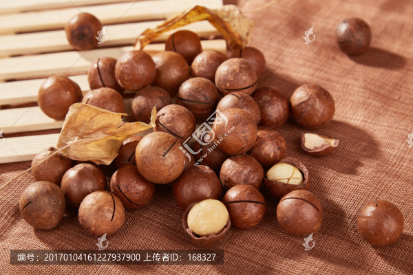 夏威夷果實(shí)景高清圖
