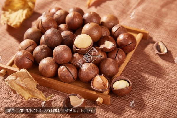 夏威夷果實景高清圖