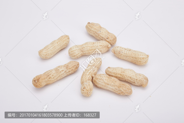 帶皮花生高清圖