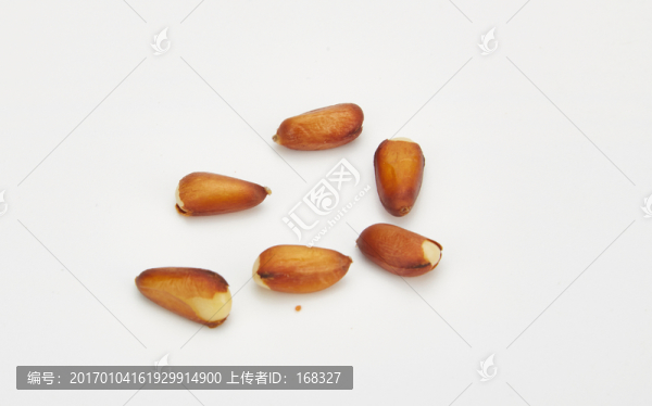 松子純色高清圖
